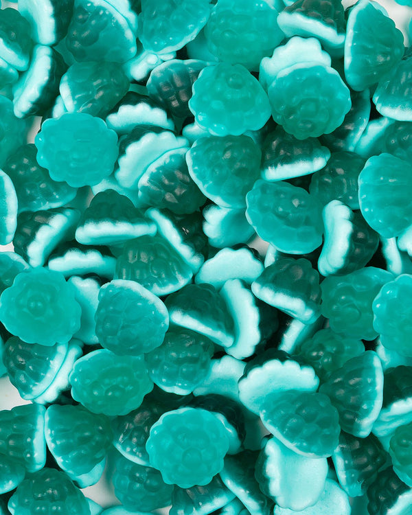 Myrtilles (500g)