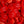 Rote Lippen (500g)